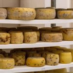 Pecorino di montagna di Norcia