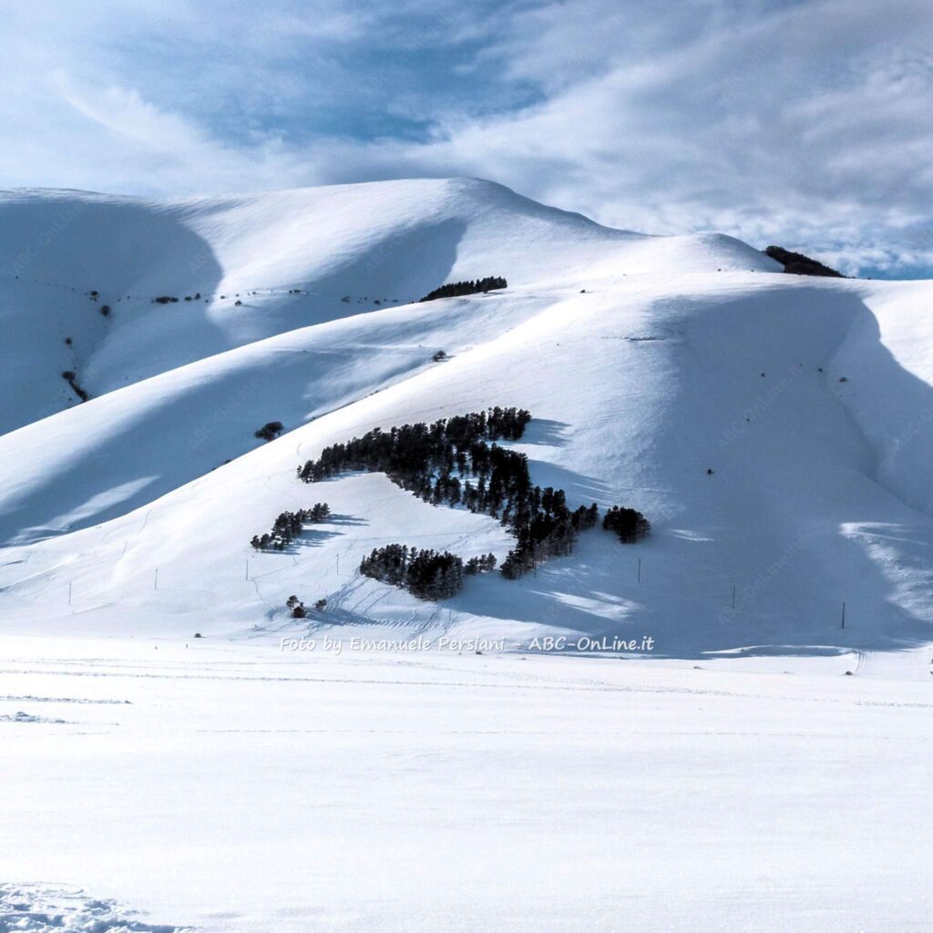 castelluccio piangrande bosco italia
